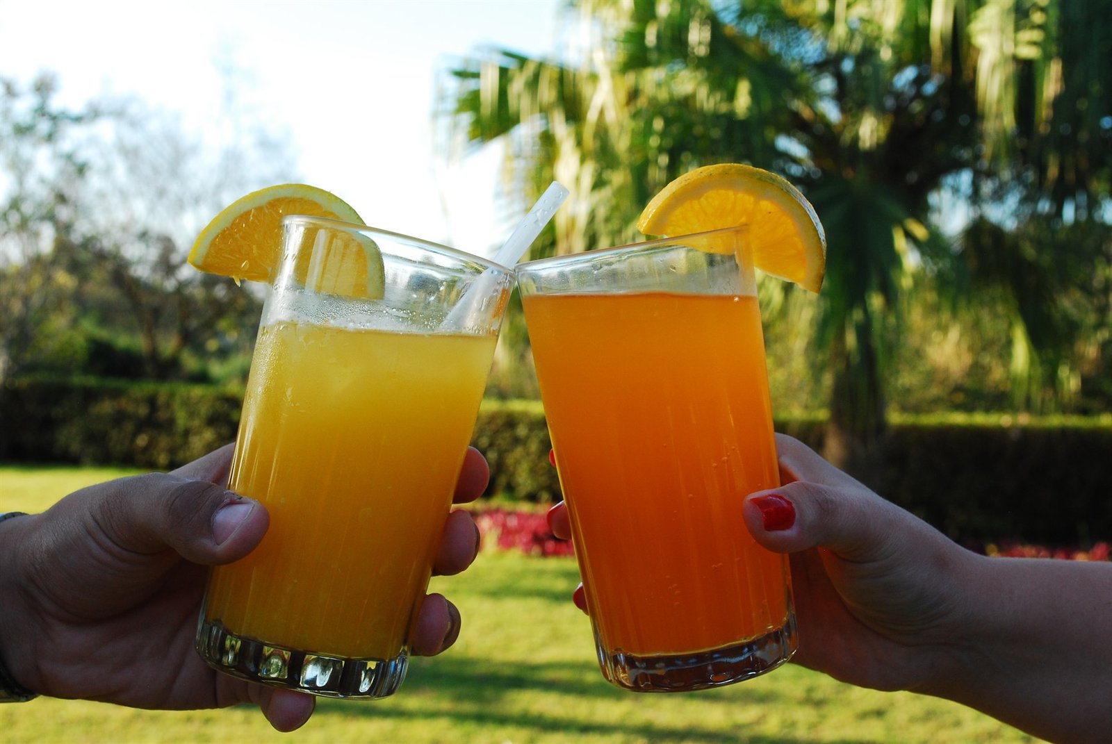 Amigos brindando com drinks em evento na chácara